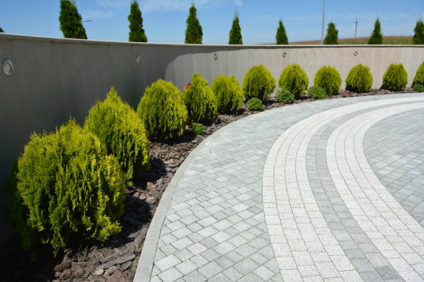 Best Interlocking Driveway Pavers  in Pico Rivera, CA